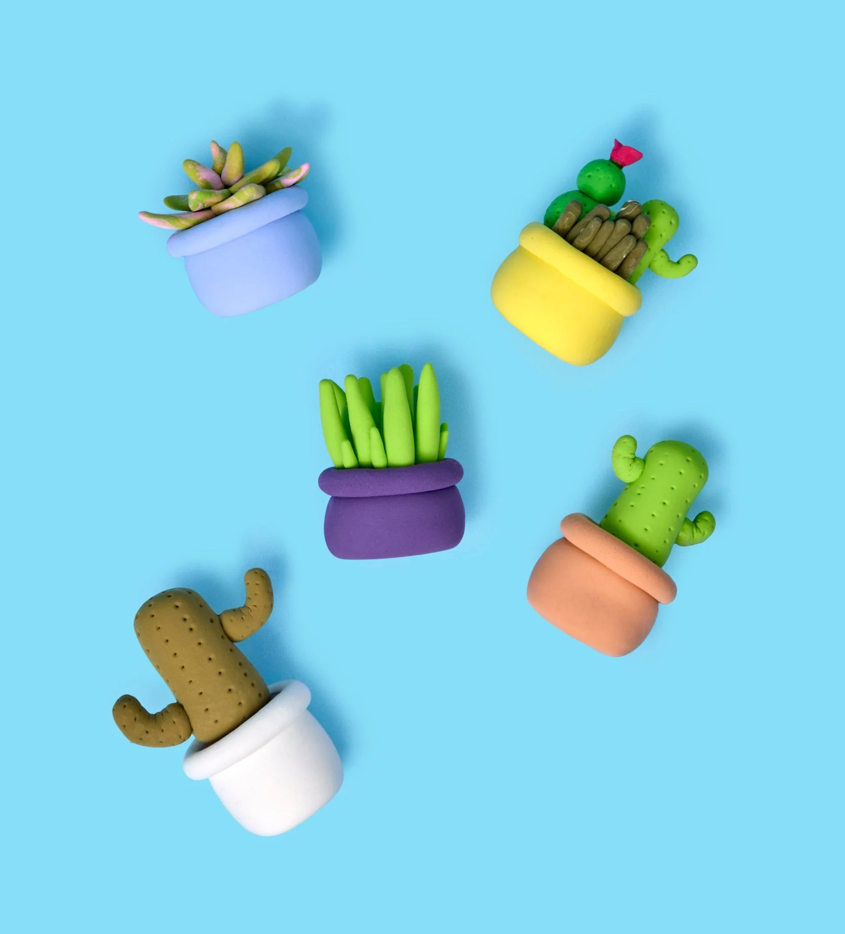Buds & Blooms: Cactus - Image 11