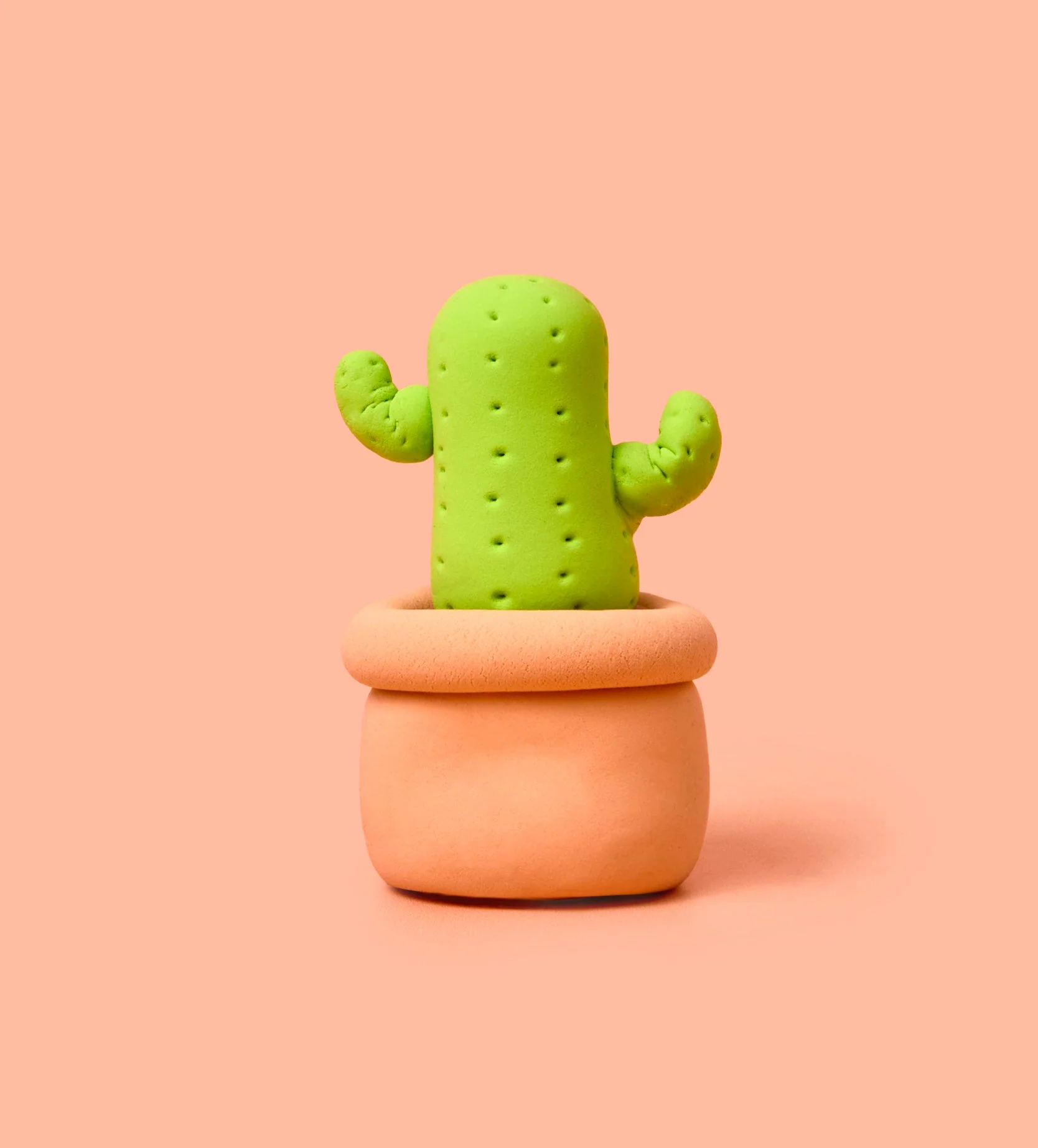 Buds & Blooms: Cactus - Image 7